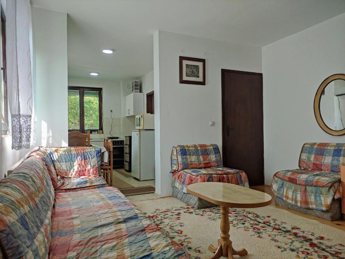 Cozy House Cvetkovic Villa Ni Buitenkant foto