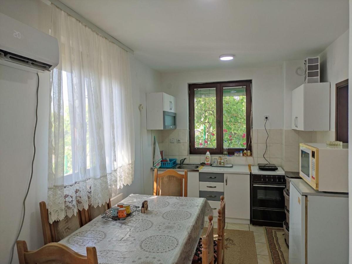 Cozy House Cvetkovic Villa Ni Buitenkant foto